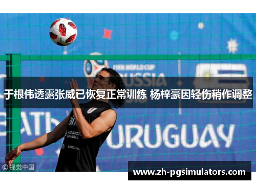 于根伟透露张威已恢复正常训练 杨梓豪因轻伤稍作调整