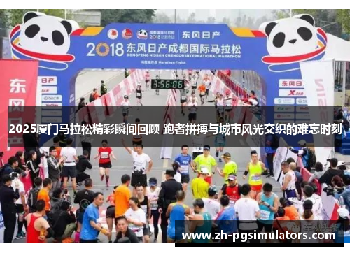 2025厦门马拉松精彩瞬间回顾 跑者拼搏与城市风光交织的难忘时刻