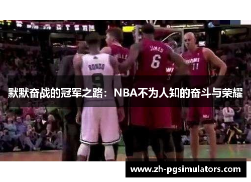 默默奋战的冠军之路：NBA不为人知的奋斗与荣耀